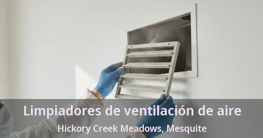 Limpiadores de ventilación de aire Hickory Creek Meadows, Mesquite - TX