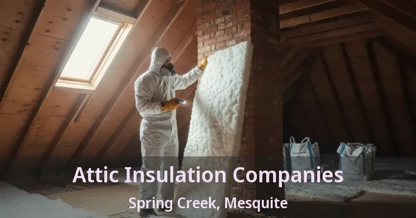 Attic Insulation Companies Spring Creek, Mesquite - TX
