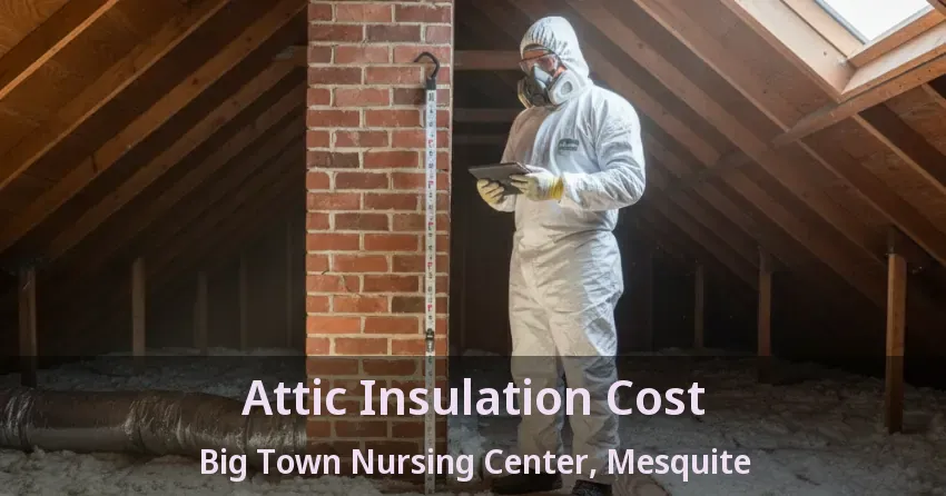Attic Insulation Cost Big Town Nursing Center, Mesquite - TX Attic Insulation Cost Big Town Nursing Center, Mesquite - TX