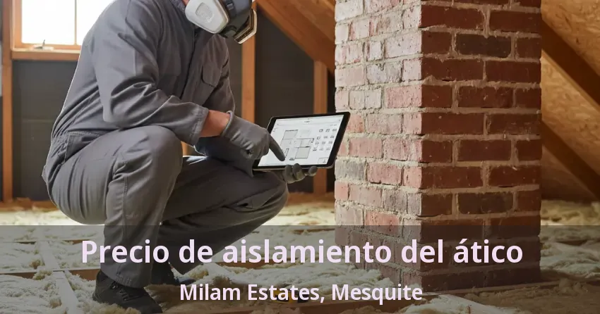 Precio de aislamiento del ático Milam Estates, Mesquite - TX Precio de aislamiento del ático Milam Estates, Mesquite - TX