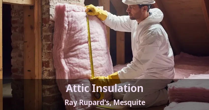 Attic Insulation Ray Rupard's, Mesquite - TX