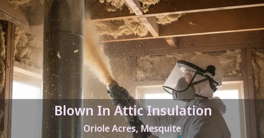 Blown In Attic Insulation Oriole Acres, Mesquite - TX