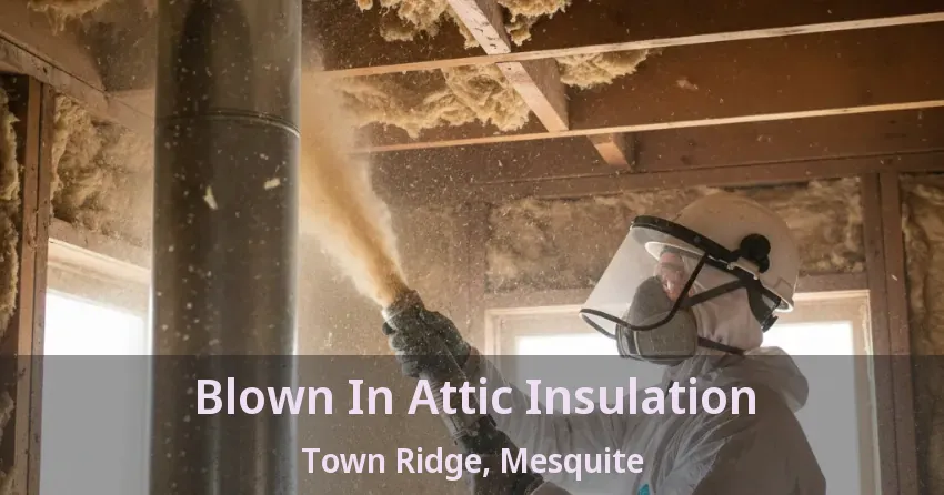 Blown In Attic Insulation Town Ridge, Mesquite - TX