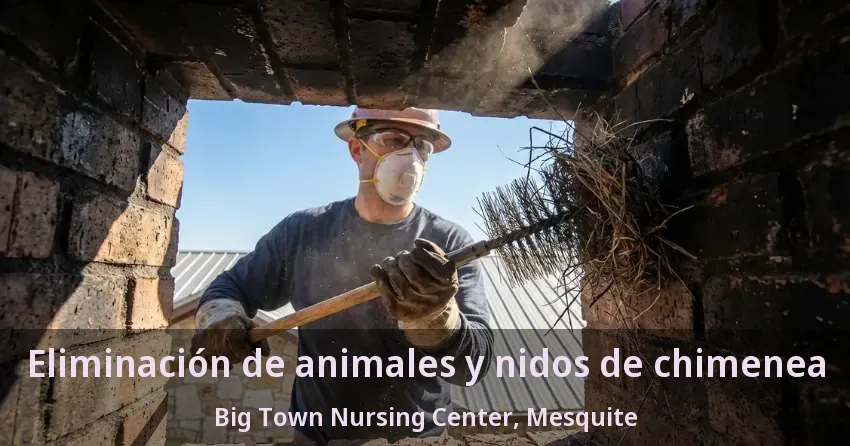Eliminación de animales y nidos de chimenea Big Town Nursing Center, Mesquite - TX