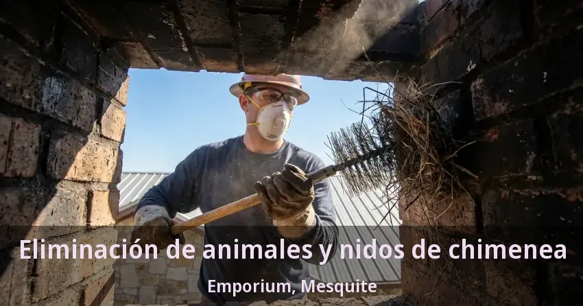 Eliminación de animales y nidos de chimenea Emporium, Mesquite - TX