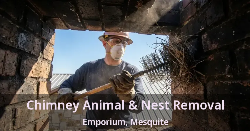Chimney Animal & Nest Removal Emporium, Mesquite - TX