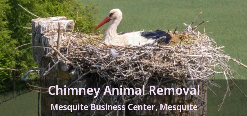 Chimney Animal Removal Mesquite Business Center, Mesquite - TX