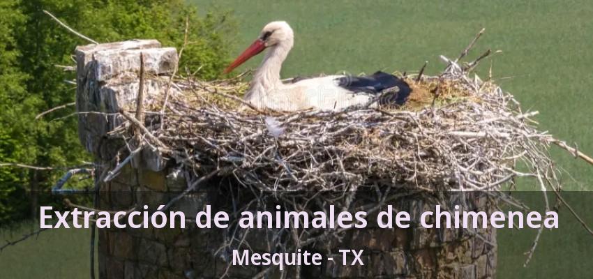 Extracción de animales de chimenea Mesquite - TX