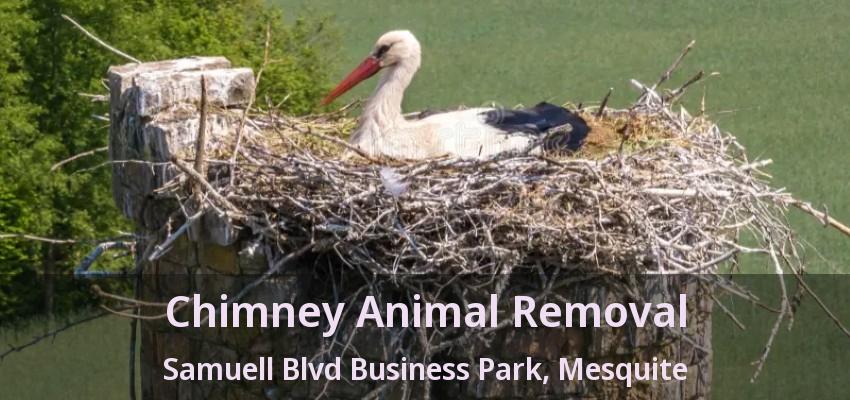 Chimney Animal Removal Samuell Blvd Business Park, Mesquite - TX