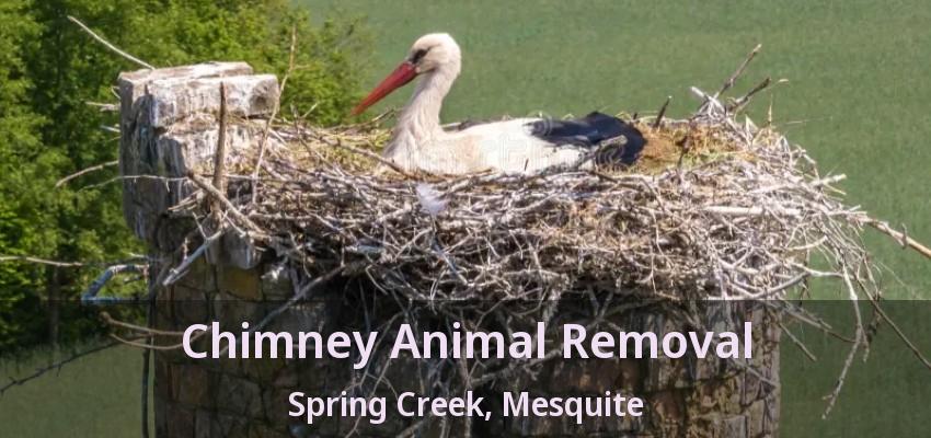 Chimney Animal Removal Spring Creek, Mesquite - TX
