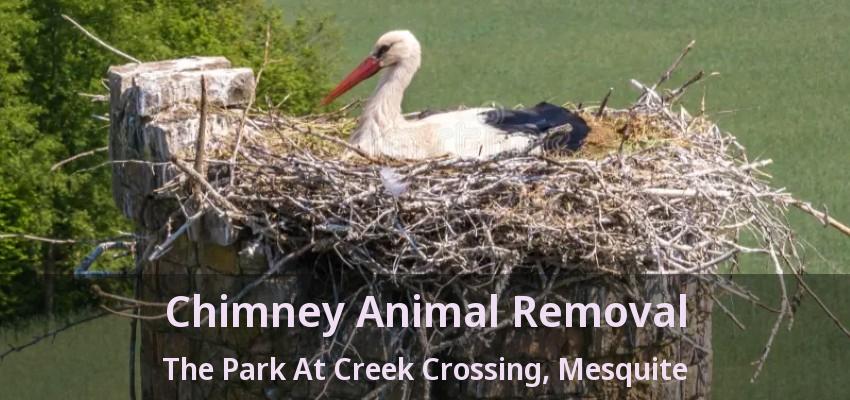 Chimney Animal Removal The Park At Creek Crossing, Mesquite - TX