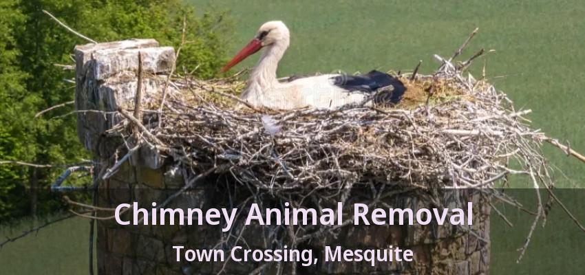 Chimney Animal Removal Town Crossing, Mesquite - TX