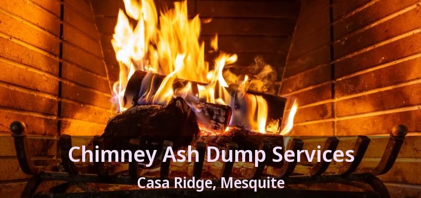 Chimney Ash Dump Services Casa Ridge, Mesquite - TX
