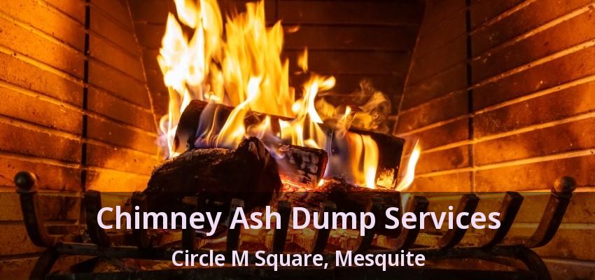 Chimney Ash Dump Services Circle M Square, Mesquite - TX