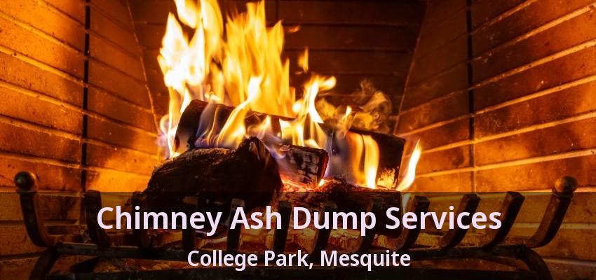 Chimney Ash Dump Services College Park, Mesquite - TX