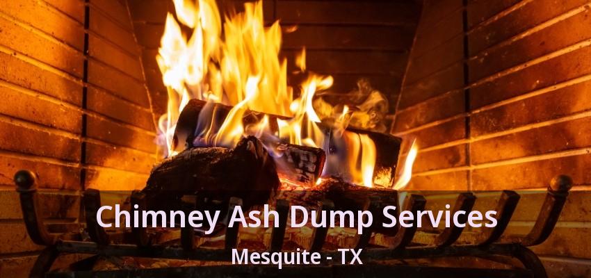 Chimney Ash Dump Services Mesquite - TX