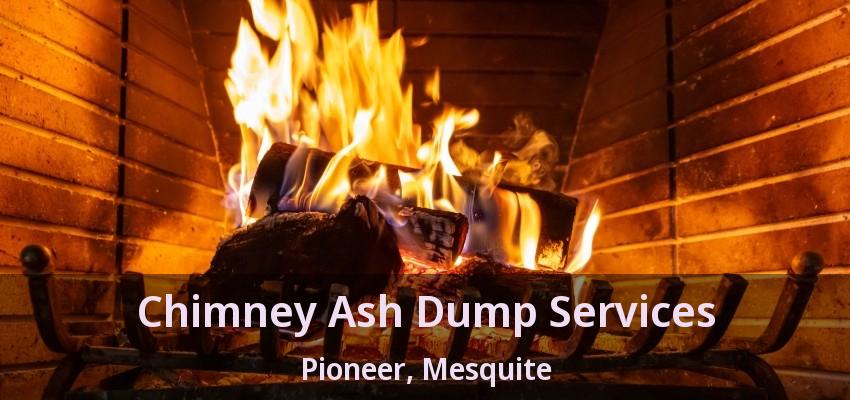 Chimney Ash Dump Services Pioneer, Mesquite - TX