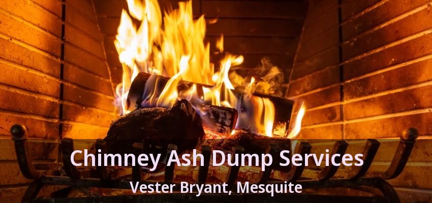Chimney Ash Dump Services Vester Bryant, Mesquite - TX