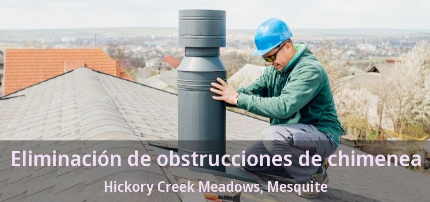 Eliminación de obstrucciones de chimenea Hickory Creek Meadows, Mesquite - TX