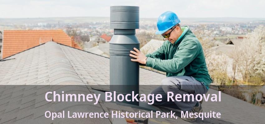 Chimney Blockage Removal Opal Lawrence Historical Park, Mesquite - TX
