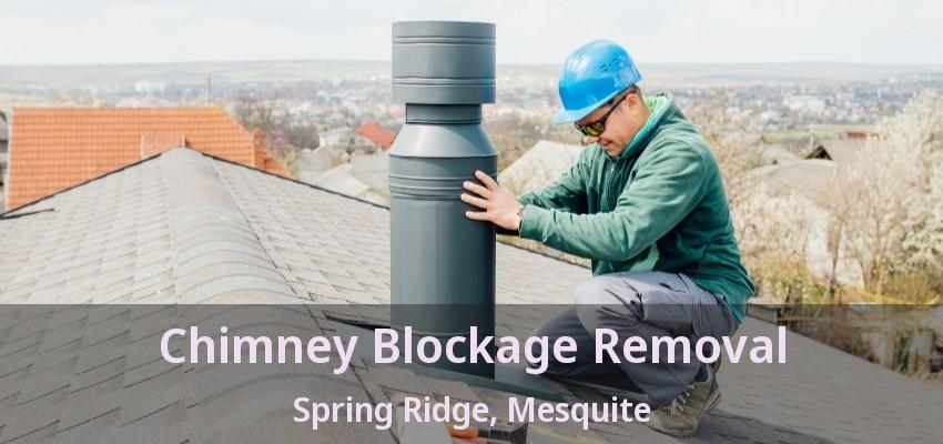 Chimney Blockage Removal Spring Ridge, Mesquite - TX