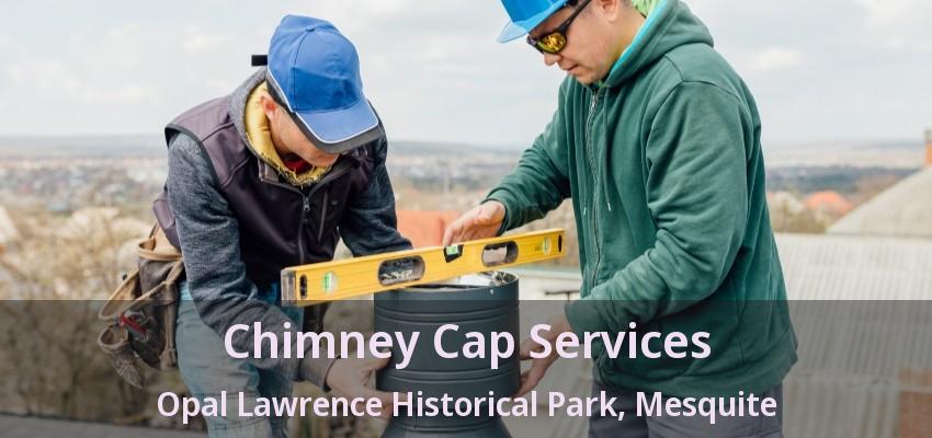 Chimney Cap Services Opal Lawrence Historical Park, Mesquite - TX