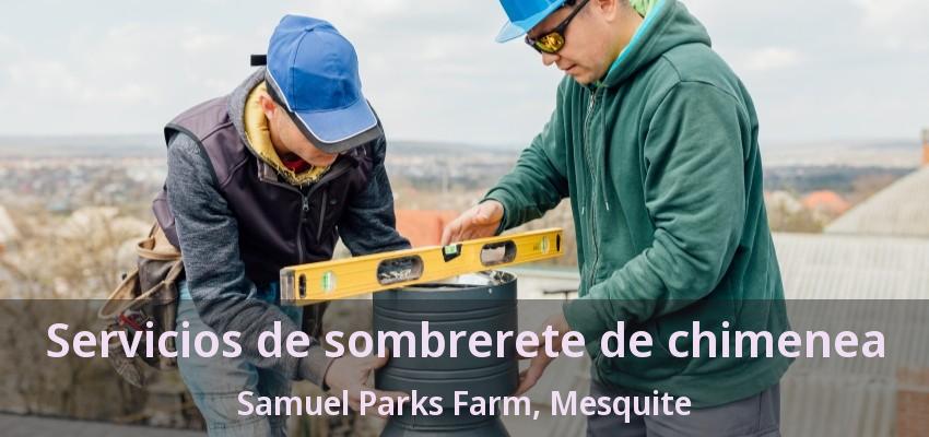 Servicios de sombrerete de chimenea Samuel Parks Farm, Mesquite - TX