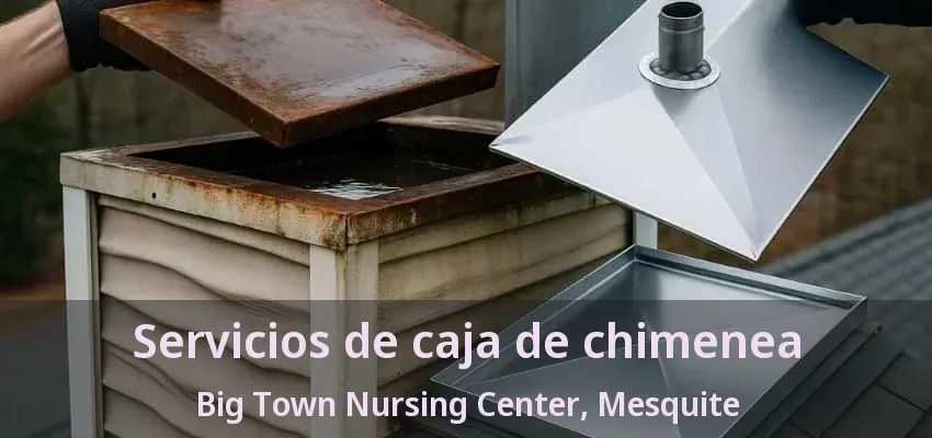Servicios de caja de chimenea Big Town Nursing Center, Mesquite - TX Servicios de caja de chimenea Big Town Nursing Center, Mesquite - TX