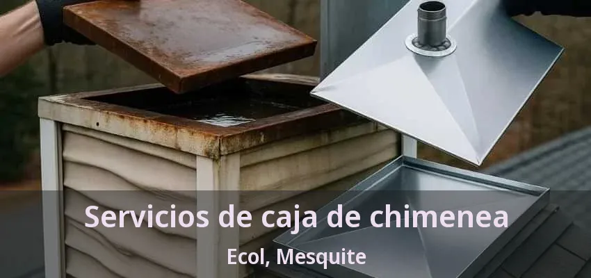 Servicios de caja de chimenea Ecol, Mesquite - TX