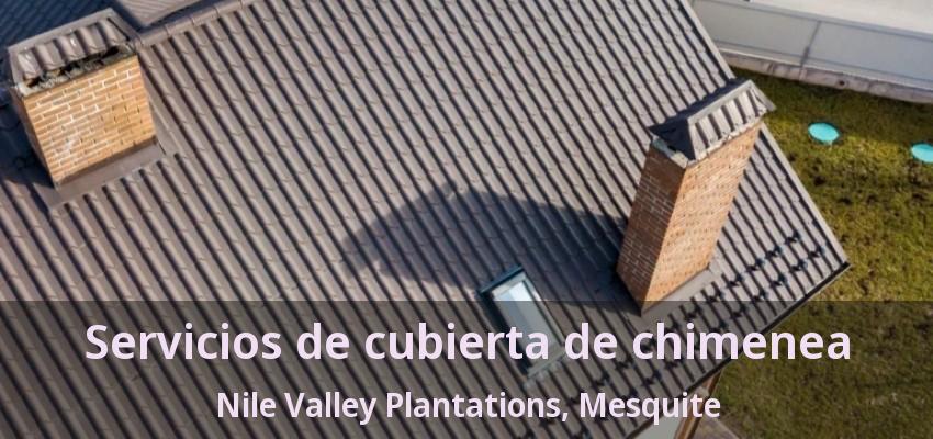 Servicios de cubierta de chimenea Nile Valley Plantations, Mesquite - TX