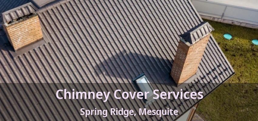 Chimney Cover Services Spring Ridge, Mesquite - TX