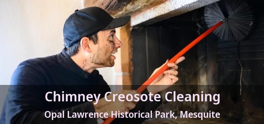 Chimney Creosote Cleaning Opal Lawrence Historical Park, Mesquite - TX