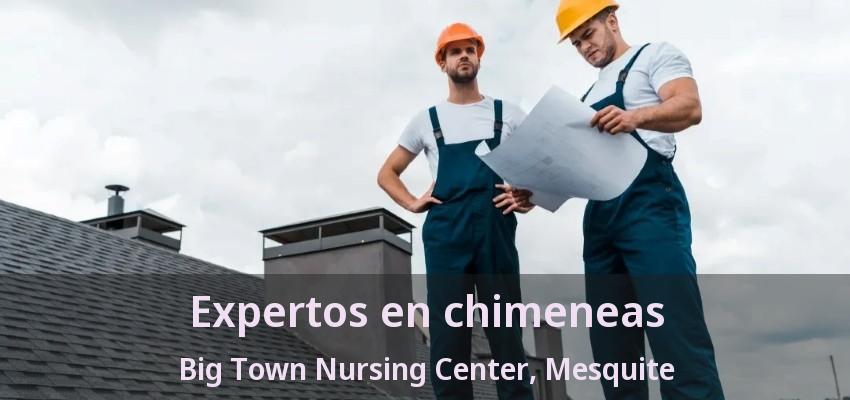 Expertos en chimeneas Big Town Nursing Center, Mesquite - TX