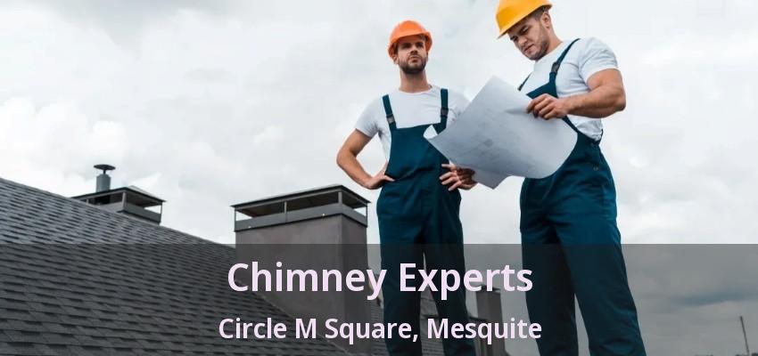 Chimney Experts Circle M Square, Mesquite - TX