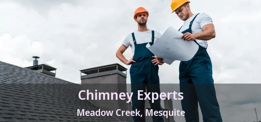 Chimney Experts Meadow Creek, Mesquite - TX