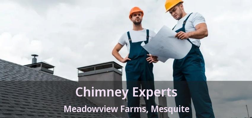 Chimney Experts Meadowview Farms, Mesquite - TX