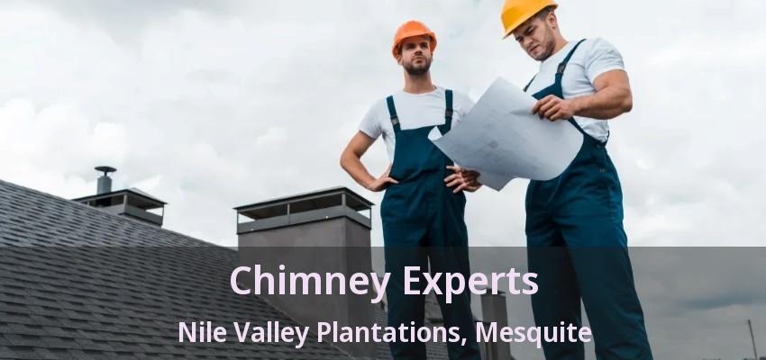 Chimney Experts Nile Valley Plantations, Mesquite - TX