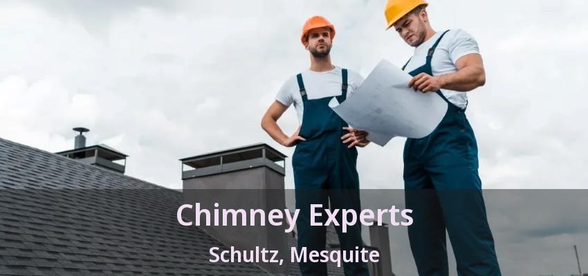 Chimney Experts Schultz, Mesquite - TX