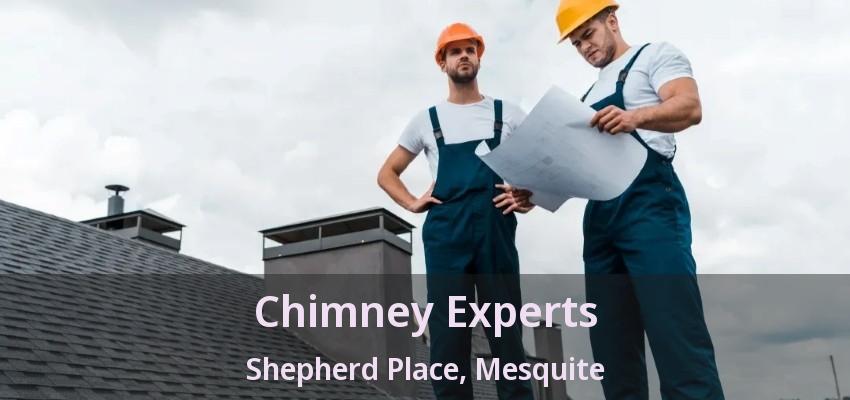 Chimney Experts Shepherd Place, Mesquite - TX