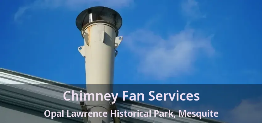 Chimney Fan Services Opal Lawrence Historical Park, Mesquite - TX