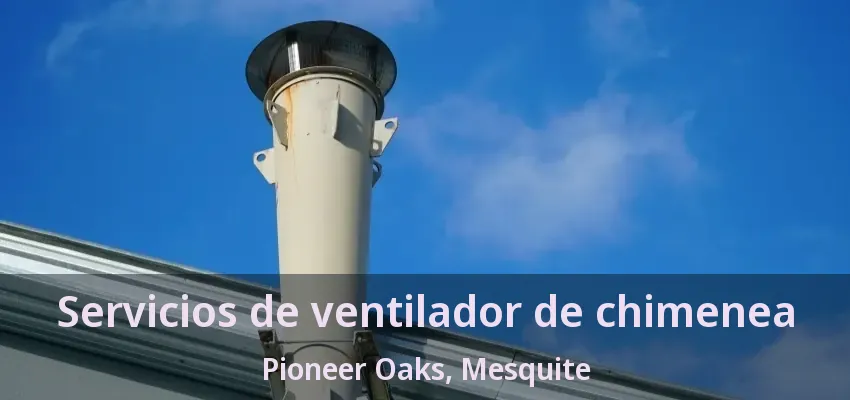 Servicios de ventilador de chimenea Pioneer Oaks, Mesquite - TX