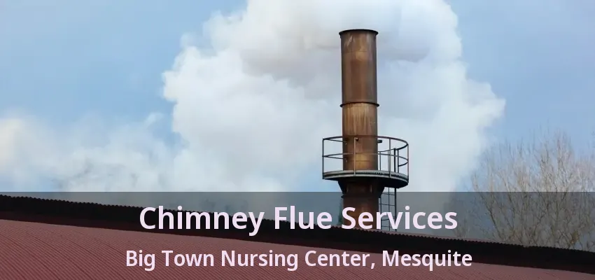Chimney Flue Services Big Town Nursing Center, Mesquite - TX