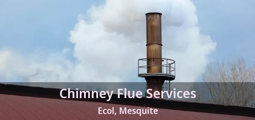 Chimney Flue Services Ecol, Mesquite - TX