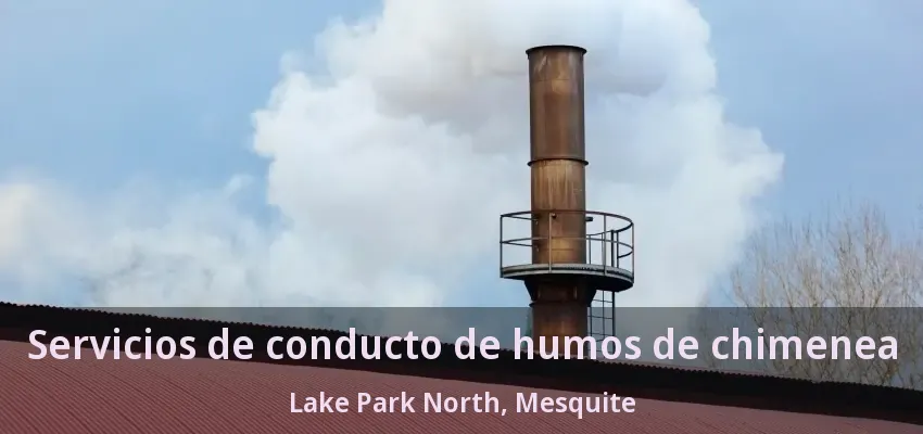 Servicios de conducto de humos de chimenea Lake Park North, Mesquite - TX