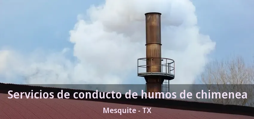 Servicios de conducto de humos de chimenea Mesquite - TX