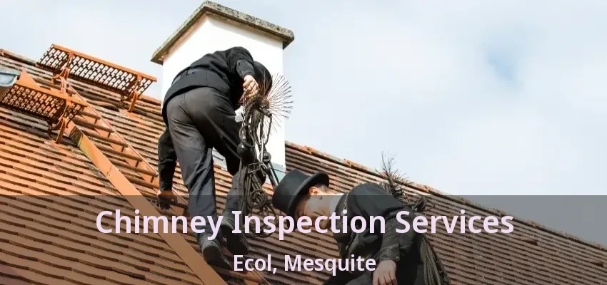 Chimney Inspection Services Ecol, Mesquite - TX
