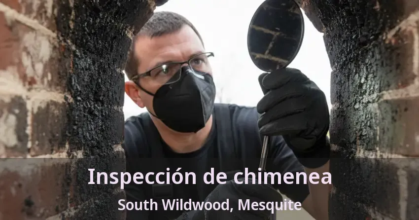 Inspección de chimenea South Wildwood, Mesquite - TX