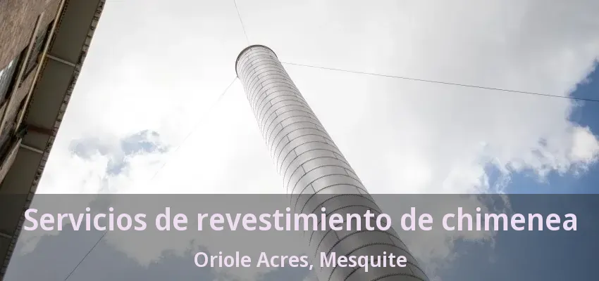 Servicios de revestimiento de chimenea Oriole Acres, Mesquite - TX