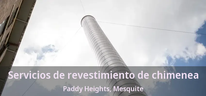 Servicios de revestimiento de chimenea Paddy Heights, Mesquite - TX