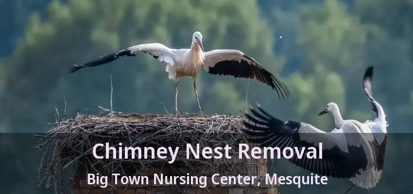 Chimney Nest Removal Big Town Nursing Center, Mesquite - TX